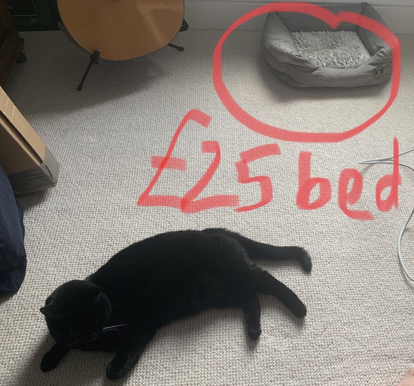 To think I have  very clever cat?