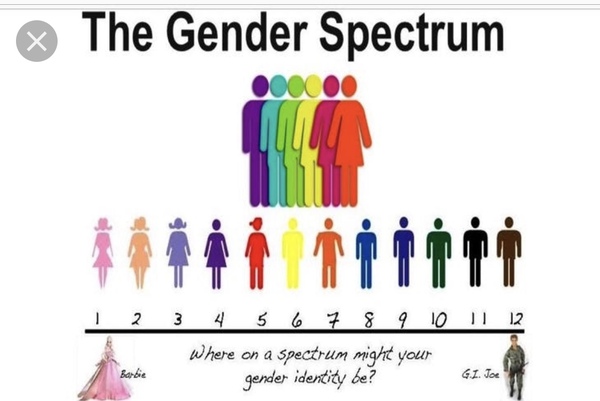 AIBU to think that this child should be allowed to compete as a girl?  Transgender topic.