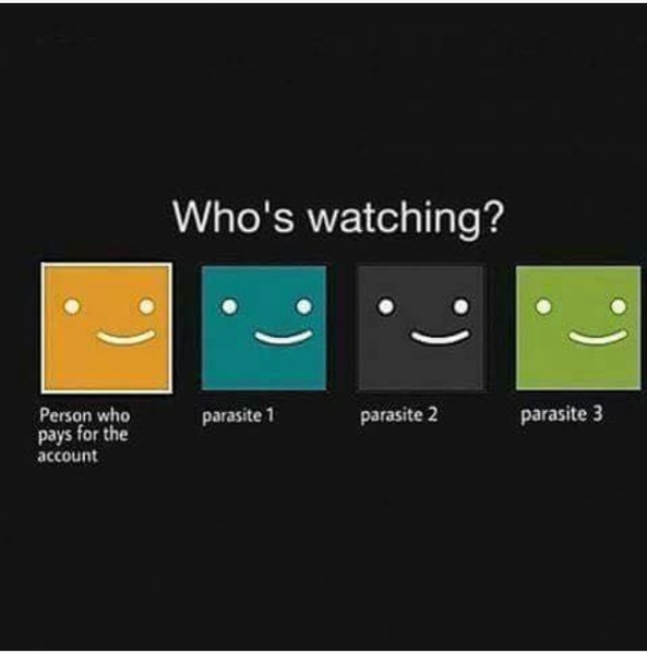 Sister abusing Netflix Account