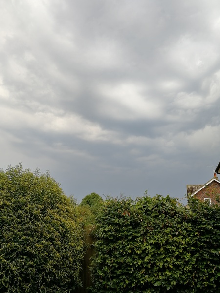 Thunderstorm watch summer 2019