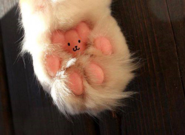 Tiny things that are bloody marvellous