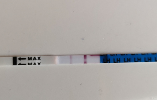 Ovulation test