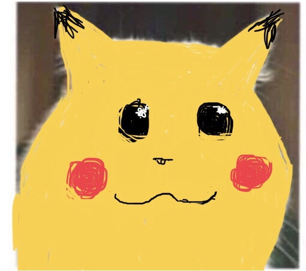 Draw a cat face challenge