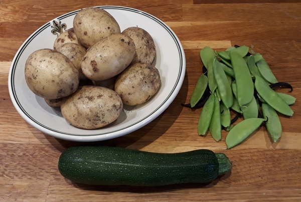 Allotment/Veg Patch Thread 14 ! growing into summer