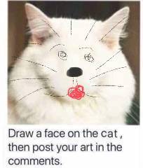 Draw a cat face challenge