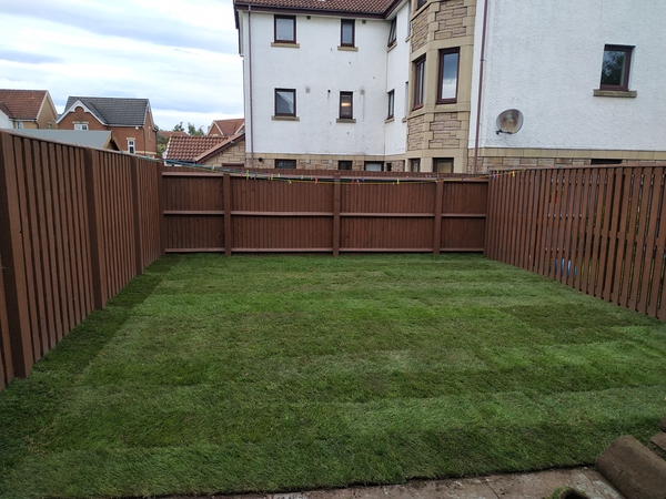 Help needed to repair back garden
