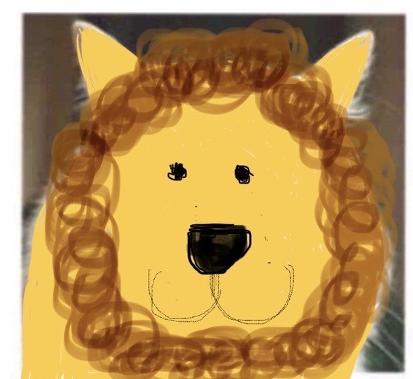 Draw a cat face challenge
