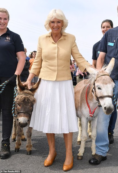 Royal style and gossip: From foundation to Foundations...