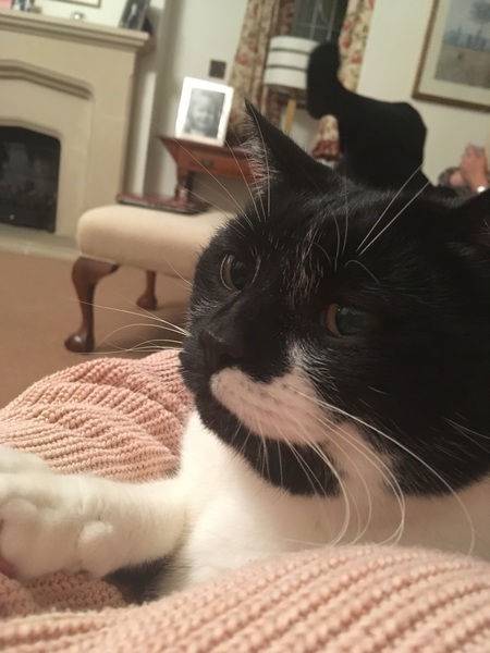 Half a stone (or 3kg) for July