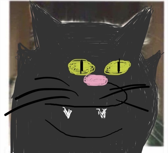 Draw a cat face challenge