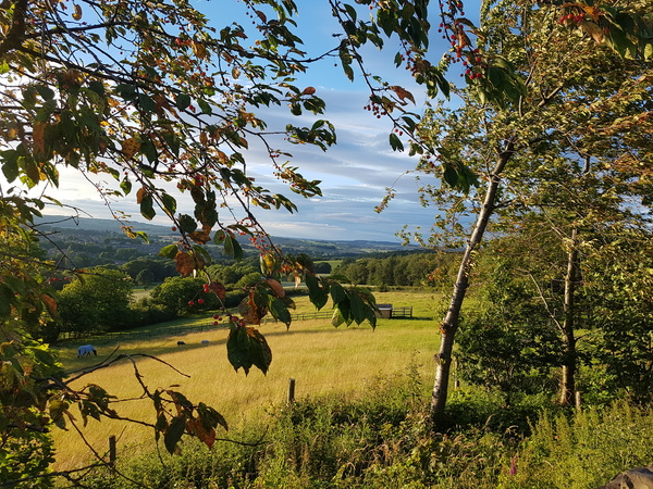 If you love where you live...