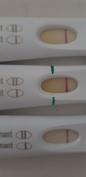 Yellow window on FRER....??