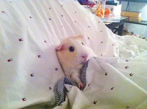 Stuck in hotel room feeling ill... please cheer me up