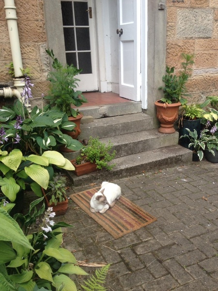 Westministenders: A New Approach? No chance.