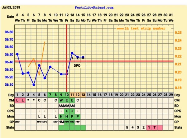 TTC after pregnancy loss thread 31 - baby penguins are coming!