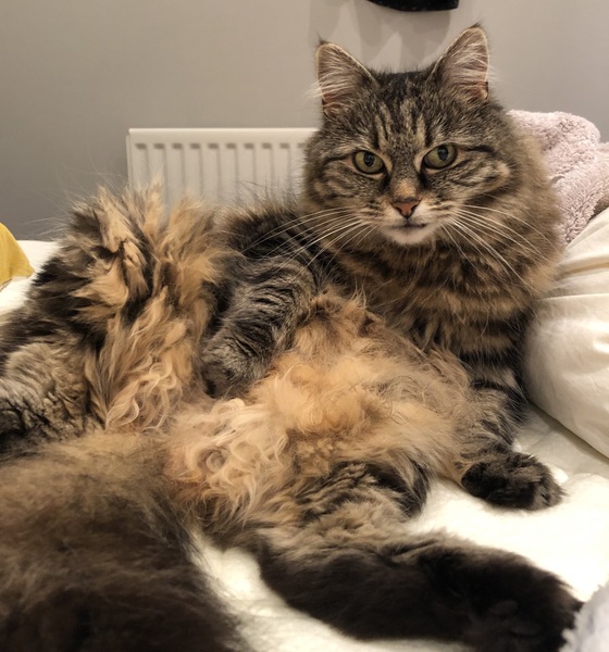 Smooshy tummy