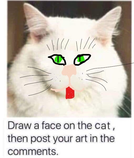 Draw a cat face challenge