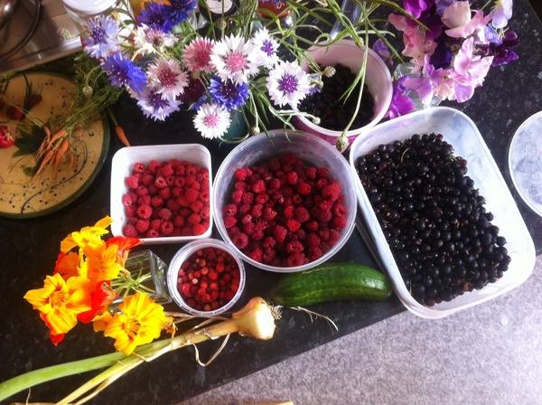 29th March "Grow your own" newcomers welcome here