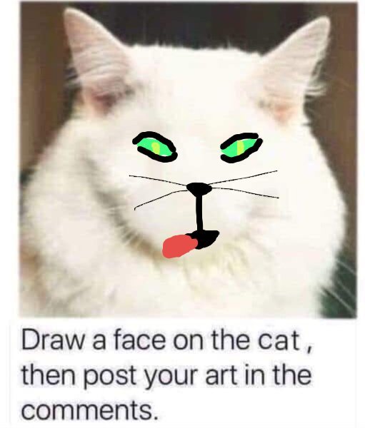 Draw a cat face challenge