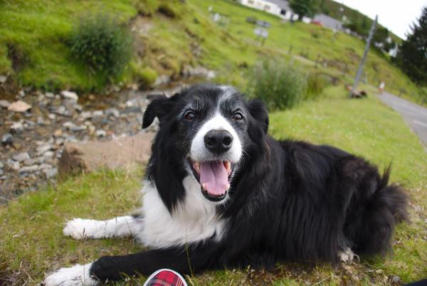 My old boy