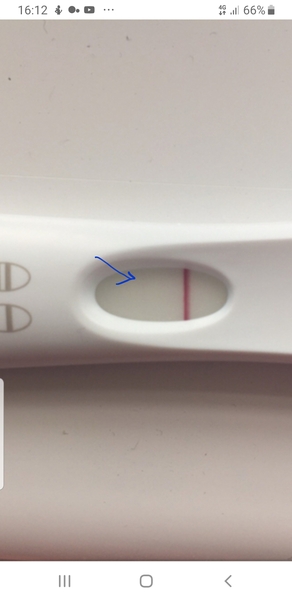 Someone please help me so confused :(