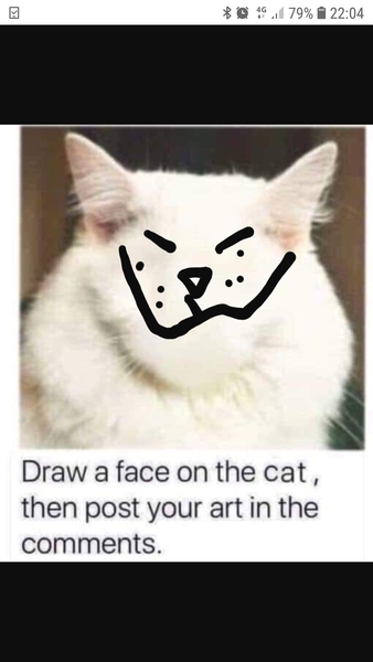 Draw a cat face challenge