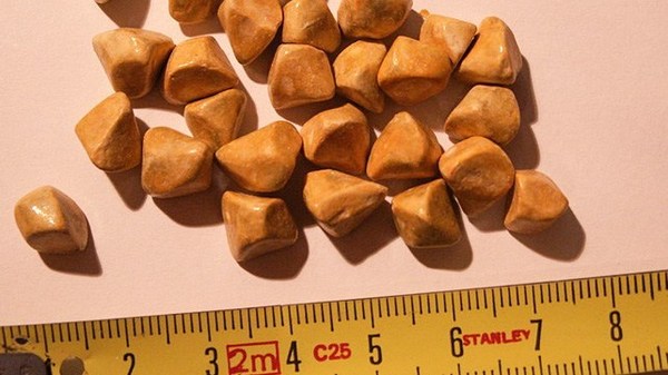 Please, please can anyone help-are these drugs? (photo)