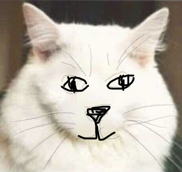 Draw a cat face challenge