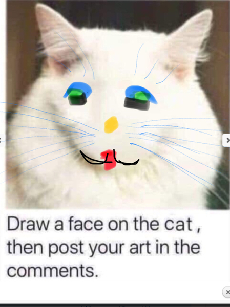 Draw a cat face challenge