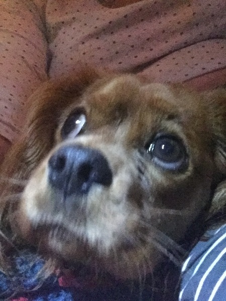 Rory