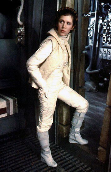 Princess Leia outfit for biggies!
