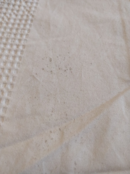 What is this on my pillow case? picture included