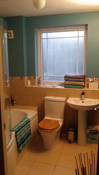I've fucked up my bathroom. Help me fuck it up more?