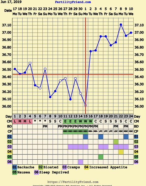 First Pregnancy Missed Miscarriage (Part III)