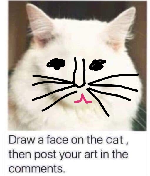Draw a cat face challenge