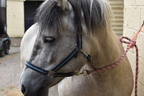 Wankerbastards will upset us that try, but we will still be dry. Or dryer at a push. It's a good job we are not in a rush.