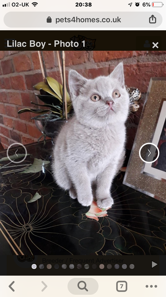 Wankerbastards and summer sunshine will make us want the bloody wine. But tryers to be dryers won't give up, and ice cold becks blue we will sup.