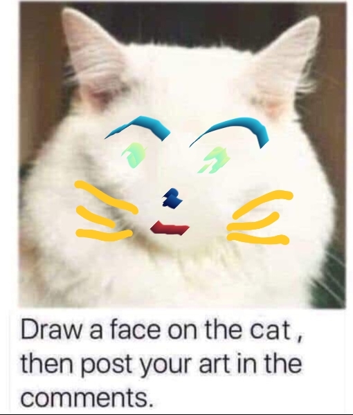 Draw a cat face challenge