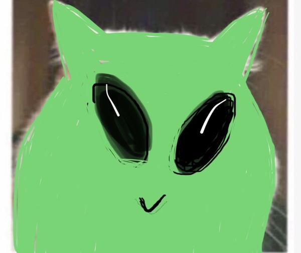 Draw a cat face challenge