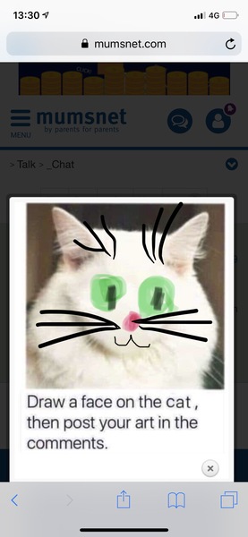 Draw a cat face challenge