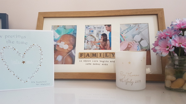 September 2019 #9 - for Twittlebee **title edited by MNHQ**