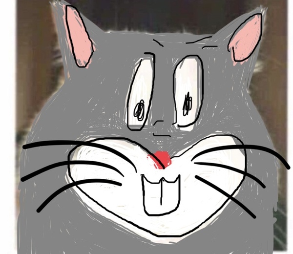 Draw a cat face challenge