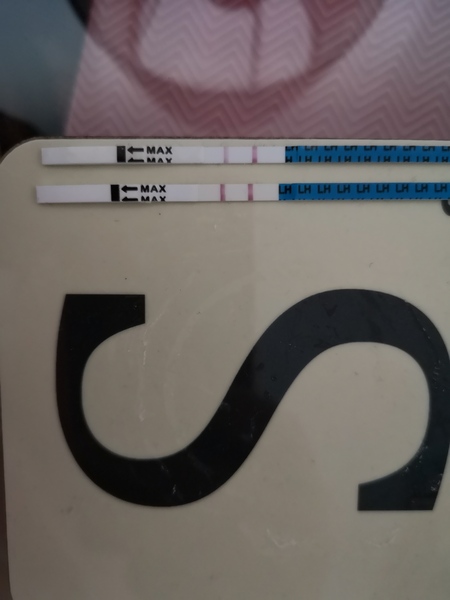 Question about OPKs