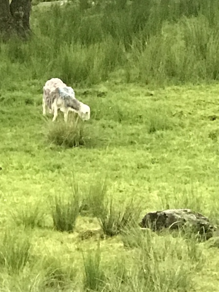 The Lake District - WHY???