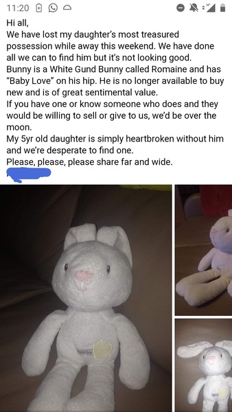 To ask you to help a little girl find her bunny?