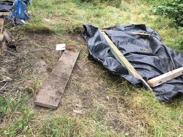 Allotment/Veg Patch Thread 14 ! growing into summer