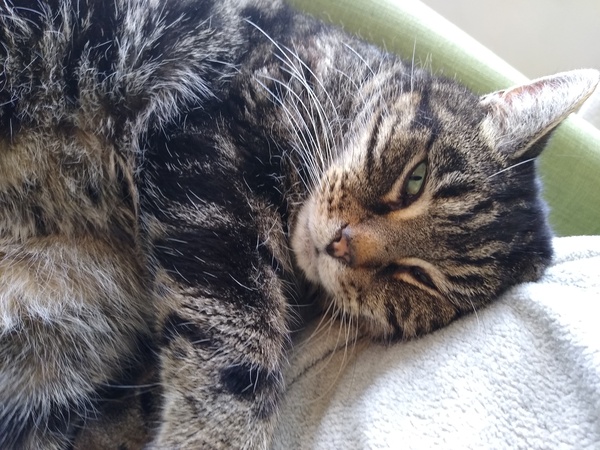 Half a stone (or 3kg) for July