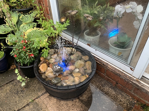 AIBU to love my new water feature?