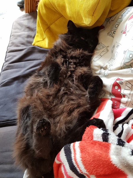 Smooshy tummy