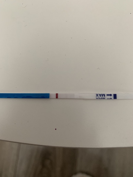 Bfp or bfn